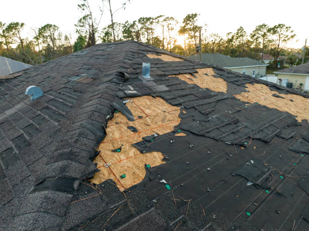Best Roof Maintenance and Cleaning  in Hometown, IL
